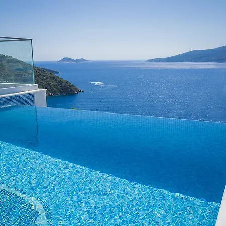 Mavi Kelebek * Kalkan